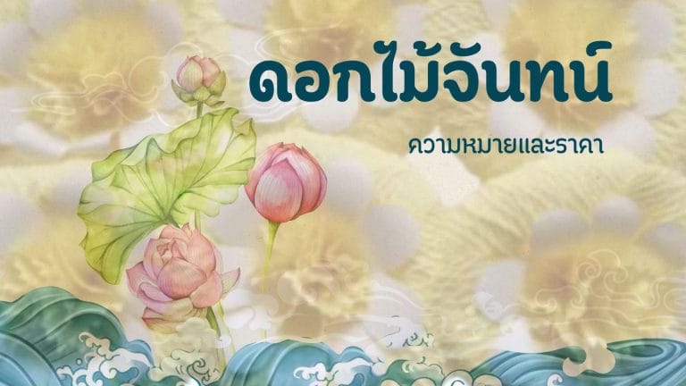 ดอกไม้จันทน์: ความหมายและราคาเท่าไหร่บ้าง