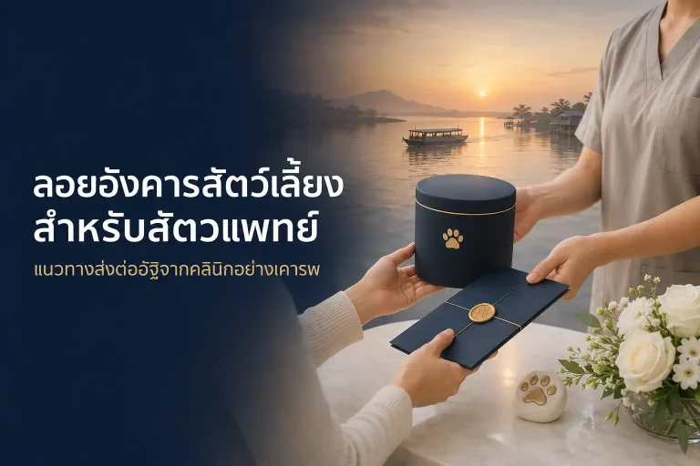ลอยอังคารสัตว์เลี้ยงสำหรับสัตวแพทย์ แนวทางส่งต่ออัฐิจากคลินิกอย่างเคารพ