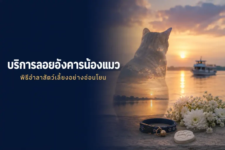 บริการลอยอังคารน้องแมว พิธีอำลาสัตว์เลี้ยงอย่างอ่อนโยน