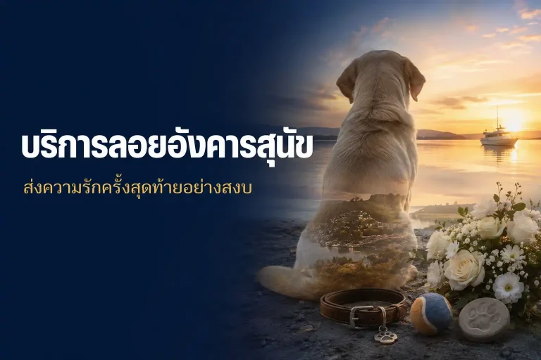 บริการลอยอังคารสุนัข ส่งความรักครั้งสุดท้ายอย่างสงบ