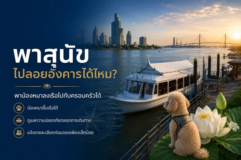 พาสุนัขไปลอยอังคารได้ไหม? พาน้องหมาลงเรือไปกับครอบครัวได้